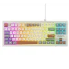 Everest KB-98 SILENT TKL Gri-Gri Mavi-Kahve Rainbow Q Membrane Klavye