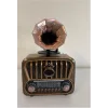 Everton RT-605 Şarjlı, Nostaljik Radyo( Bluetooth-USB-SD-FM)