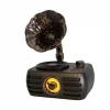 Everton Rt-704 Gramafonlu Bluetooth Fm-Usb-Tf-Aux Şarjlı Nostaljik Radyo