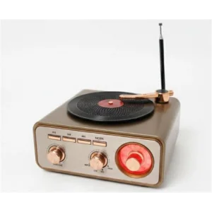 Everton RT-1217bt Bluetooth Usb-Micro Plak Radyo