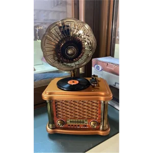 Everton Rt-586  Bluetooth Fm-Usb-Tf-Aux  Şarjlı Nostaljik Radyo