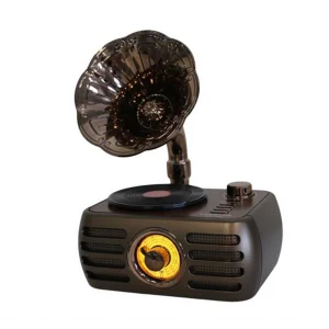 Everton Rt-704 Gramafonlu Bluetooth Fm-Usb-Tf-Aux  Şarjlı Nostaljik Radyo