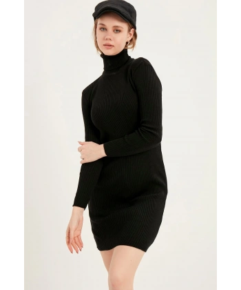 Kadın Siyah Balıkçı Yaka Triko Elbise
