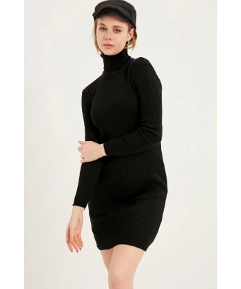 Kadın Siyah Balıkçı Yaka Triko Elbise