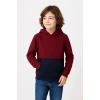 Erkek Çocuk Kapüşonlu Kanguru Cepli Parçalı SweatShirt - Renkli