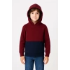Erkek Çocuk Kapüşonlu Kanguru Cepli Parçalı SweatShirt - Renkli
