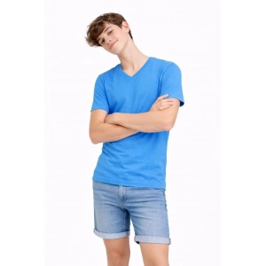 Genç Erkek Çocuk V Yaka Tişört Model - Açık Mavi