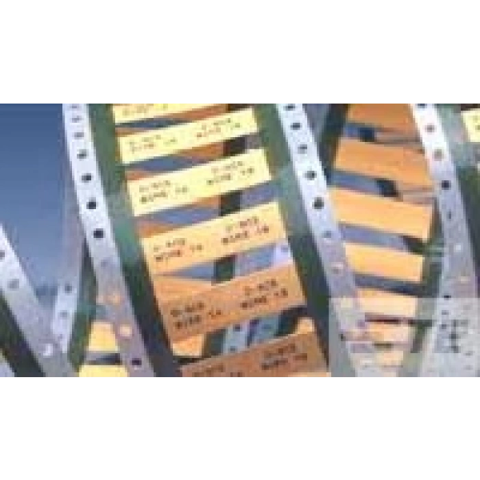 TE CONNECTIVITY / RAYCHEM