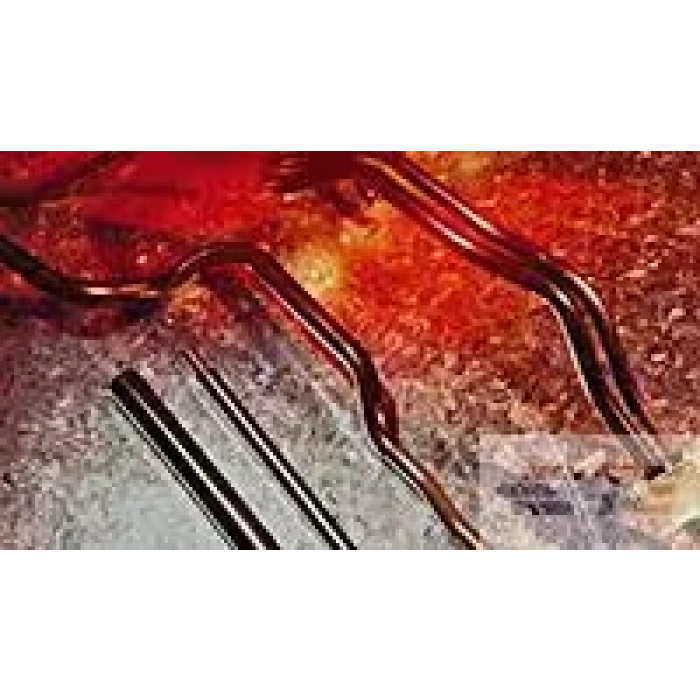 TE CONNECTIVITY / RAYCHEM