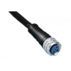 MOLEX