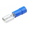 MOLEX