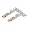 MOLEX