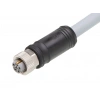 MOLEX
