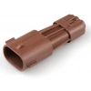 MOLEX