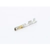 MOLEX