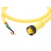 MOLEX