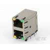 TE CONNECTIVITY 2496704-2
