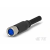 TE CONNECTIVITY/AMP BRAND