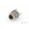 TE CONNECTIVITY/AMP BRAND