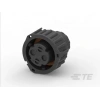 TE CONNECTIVITY/AMP BRAND