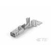 TE CONNECTIVITY/AMP BRAND