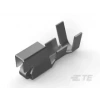 TE CONNECTIVITY/AMP BRAND