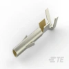TE CONNECTIVITY/AMP BRAND