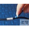 TE CONNECTIVITY / RAYCHEM