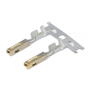 MOLEX