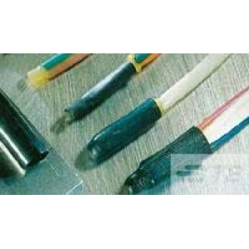 TE CONNECTIVITY / RAYCHEM