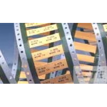 TE CONNECTIVITY / RAYCHEM