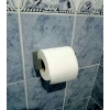 LAZER KENDİNDEN YAPIŞKANLI WC KAĞITLIK KROM