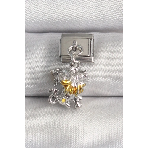 Mey İthalat® 316L Çelik Gümüş Renk Sallantı Aslan Model Nomination Charm