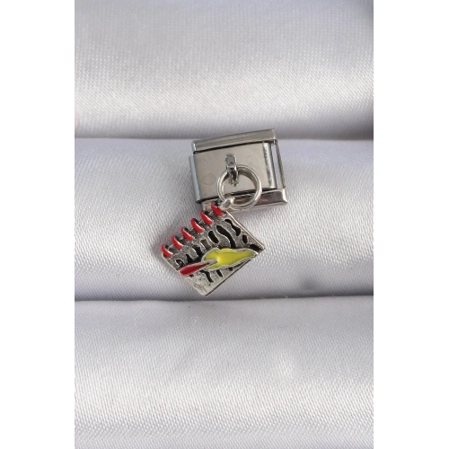 Mey İthalat® 316L Çelik Gümüş Renk Sallantı Defter Figür Nomination Charm