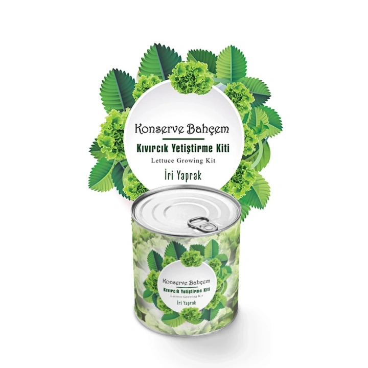 BiiShe® Konserve Bahçem Evde Konservede İri Yapraklı Kıvırcık Yetiştirme Kiti