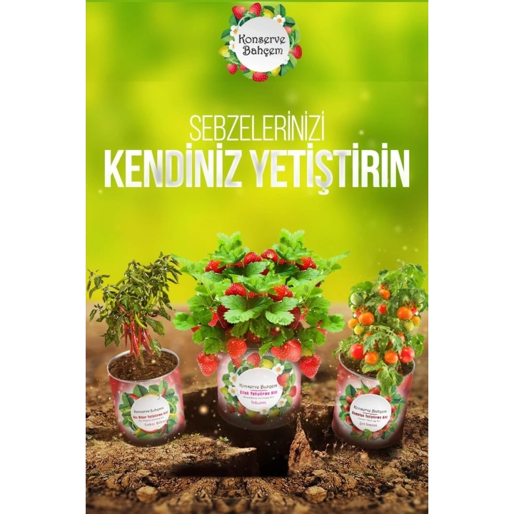 BiiShe® Konserve Bahçem Evde Konservede Tatlı Sivri Biber Yetiştirme Kiti