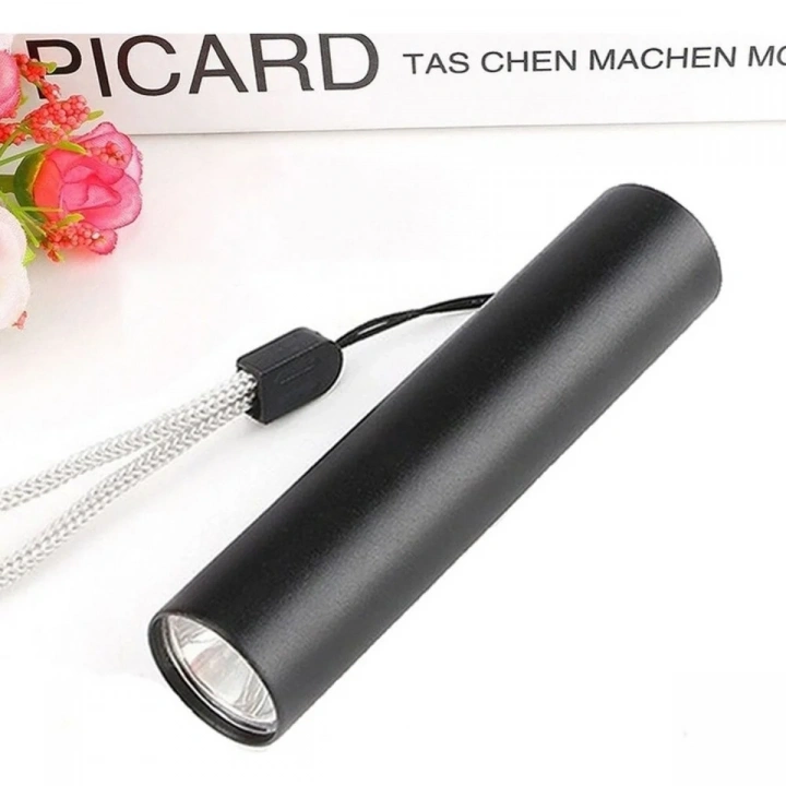BiiShe® Mini Cep Boy USB İle Şarj Olan Oje Kurutucu Sahte Para Kontol LED UV Mor Işık El Feneri
