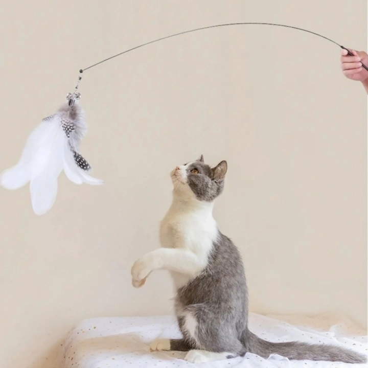BiiShe® Vantuzlu Tüylü Zilli Olta Kedi Oyuncağı 2 Oltalı