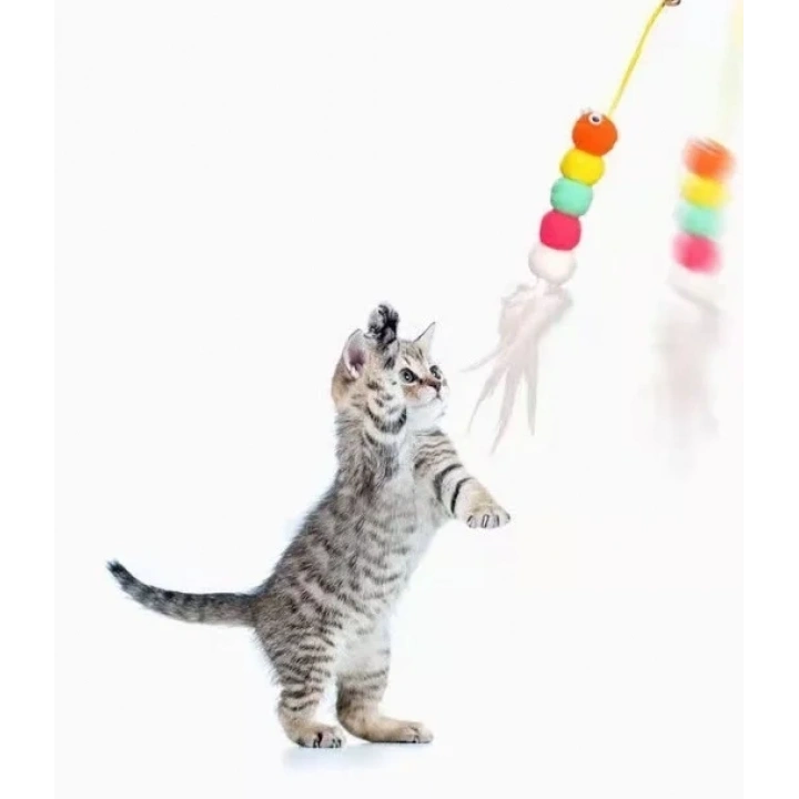 Elastik Kendinden Yapışkanlı Solucan Kedi Oltası (5468)