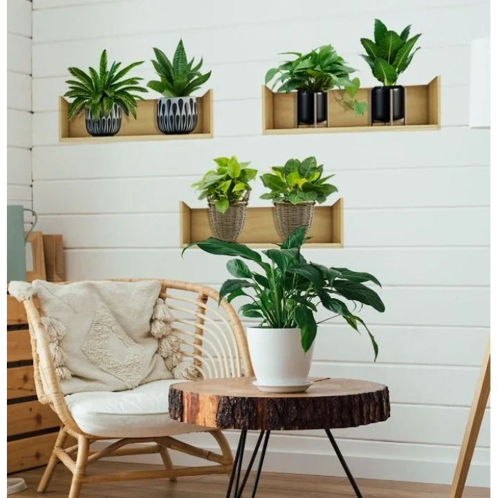 Raflı Bitki Tasarımlı Yapışkanlı Sticker 20*30 cm 3lü Set (5468)
