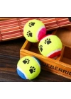 At Getir Köpek Eğitim Topu (5468)