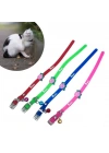 BiiShe® Çıngıraklı Zilli Sevimli Renkli Slikon Kedi Köpek Boyun Tasması