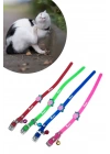 BiiShe® Çıngıraklı Zilli Sevimli Renkli Slikon Kedi Köpek Boyun Tasması