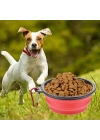 BiiShe® Katlanabilir Kedi Köpek Mama ve Su Kabı Köpek Oyuncağı