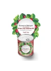 BiiShe® Konserve Bahçem Evde Konservede Fındık Turp Yetiştirme Kiti