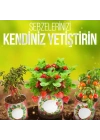 BiiShe® Konserve Bahçem Evde Konservede Fındık Turp Yetiştirme Kiti