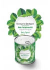 BiiShe® Konserve Bahçem Evde Konservede İri Yapraklı Roka Yetiştirme Kiti