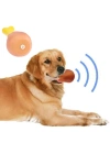 BiiShe Köpekler İçin Oyuncak Tavuk Budu