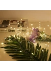 BiiShe® Yılbaşı ve Özel Konsept Dekorasyon 5 Mt USB Bağlantılı Led Işık