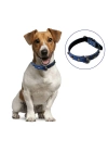 BiiShe® Yumuşak Dokulu Deri Köpek Gezdirme Boyun Tasması (Large)